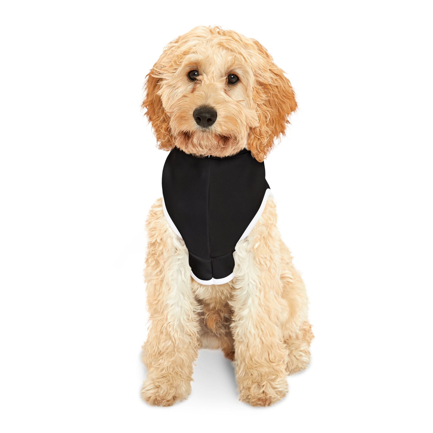 Pet Hoodie with 'Morbid Gang' Design